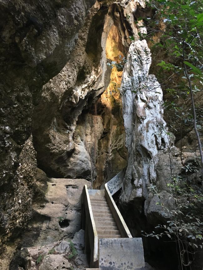3日目　フローレンス島の洞窟散策