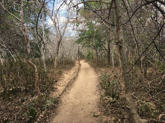 コモド島は　道がある<br /><br />リンチャ島とまったく違う雰囲気<br /><br />