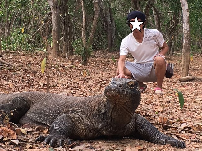 さほど　大きくないけど　遠近法で　ガイドさんが上手にとってくれます