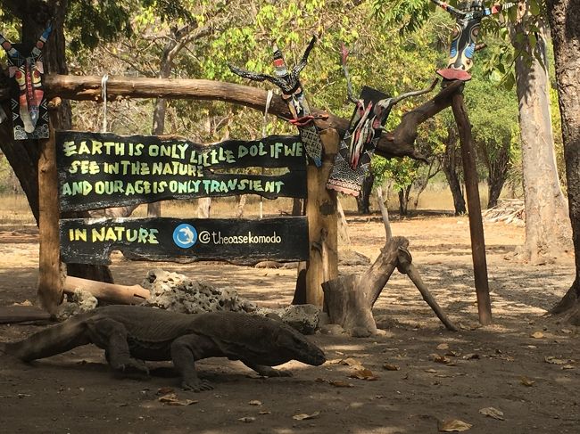 置物のように　絵的にポージングドラゴン