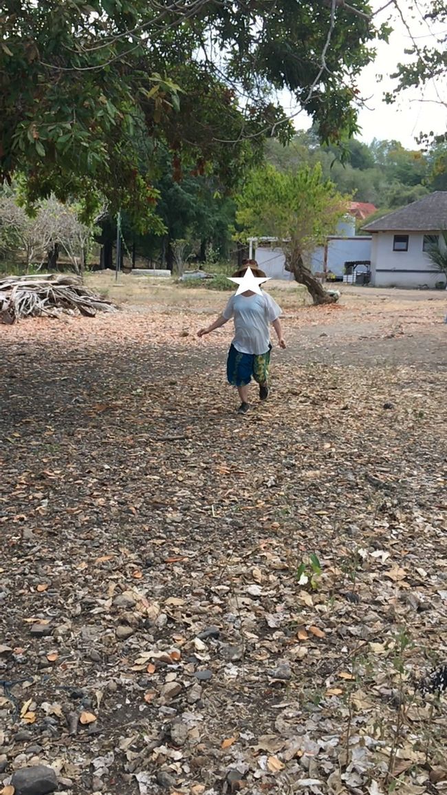 イモトが走った場所で　走ってみた～