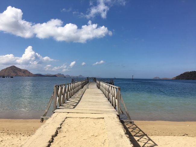 インスタ映え箇所がもりだくさん！