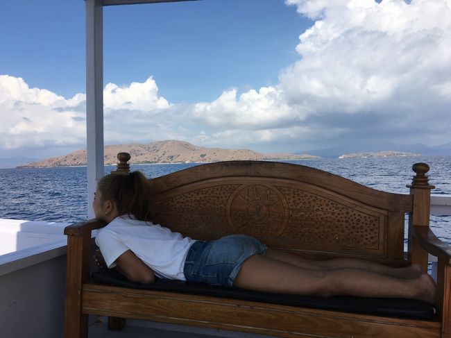 わが家の　コドモドラゴン