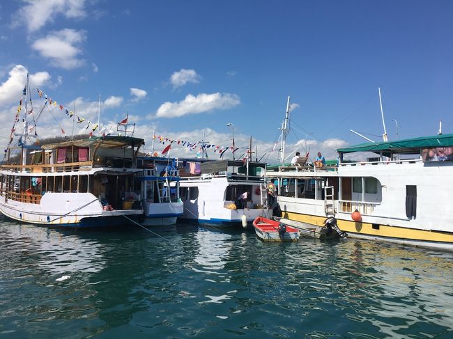 ラブハンバジョ港<br /><br />乗船前に　アルコールやお菓子買い込みました！<br /><br />ドラゴンは　一度みればいいや　ですが　のんびりクルーズは　またしたいな～