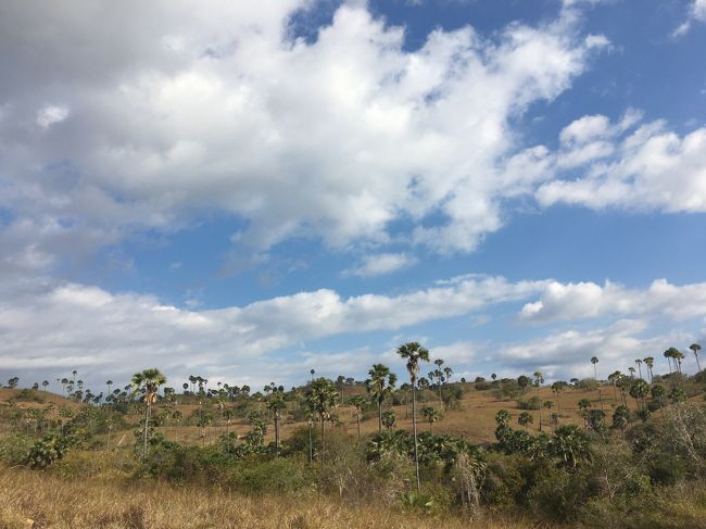 ジェラシックパークのイメージは　ここだそうな<br /><br />そういえば　そうね　な・・・<br /><br />ちゃららーらら・・・と聞こえてきそうです。<br />リアルジェラシックパーク<br />ドラゴン急にでてくるかも知れないし・・・