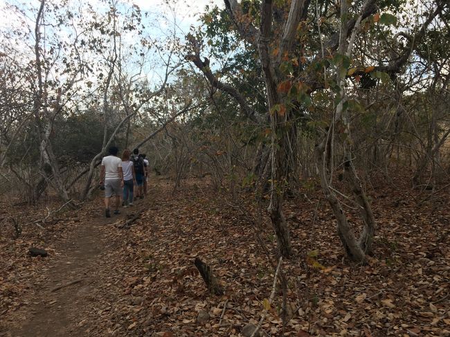 道なき道を探検隊！