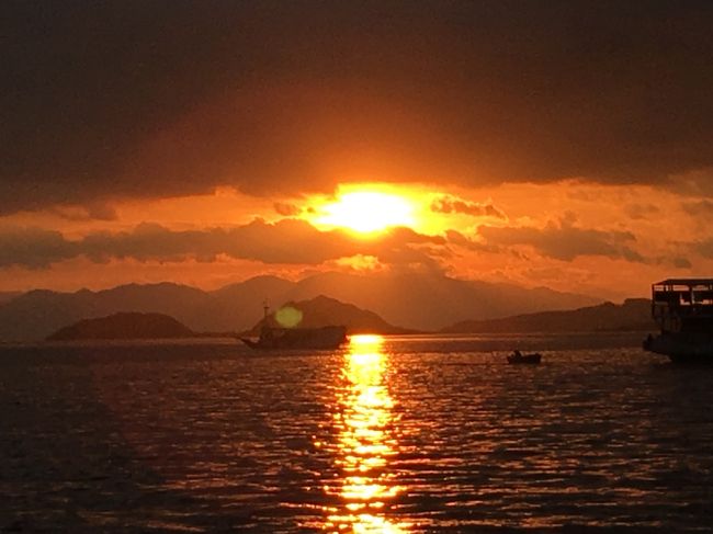 結局　リンチャでは　餌付けされてるドラゴンしか見れなかった。<br />探検隊気分満載だったけど・・・<br /><br />