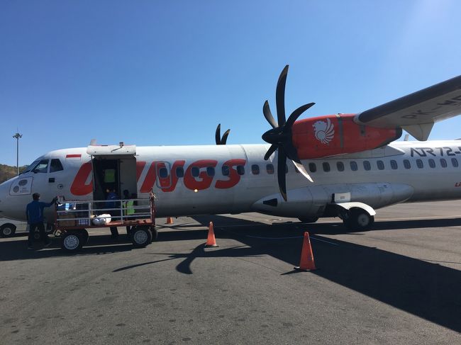 ライオンエアでコモド島へ<br /><br />当初ｶﾞﾙｰﾀﾞでとっていたけど　まさかの欠便になりライオンエアをとりなおした。<br /><br />LCCなので受託荷物　キロ/25000RP　　3人分の荷物　往復なので結構な金額！ガルーダの方が安いです。<br /><br />国内線　チェックインカウンター　めちゃ込みです。<br />早朝にもかかわらず　1時間半かかりました。<br /><br />自撮り棒など　伸びる長いもの　機内持ち込み禁止です。<br />水はいいのに・・・