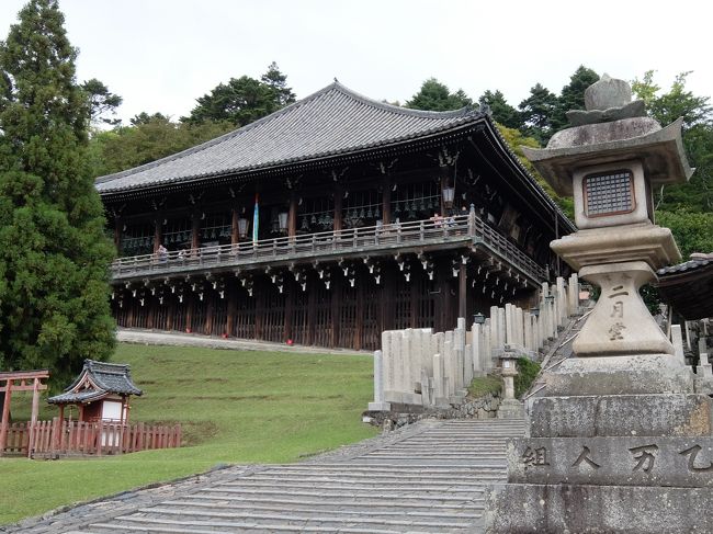 奈良はホントに鹿だらけでしたよ 奈良市 奈良県 の旅行記 ブログ By Akiraさん フォートラベル 奈良はホントに鹿だらけでしたよ 奈良市 奈良県 の旅行記 ブログ By Akiraさん フォートラベル