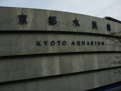 京都２日目は京都水族館へ・・
開門すぐに見に行きました・・