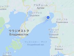 高度が下がってきて、窓から陸地が見えてきました。
GoogleMapは回線がなくても位置を示してくれます。
開いてみると空港のすぐ近くまで来ていました。
ロシア上空はヨーロッパ便で飛んだことがありますが、着陸するのは初めてです。
ドキドキしてきました。
