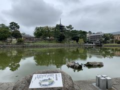 興福寺　池から五重塔