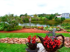 かわいいティーカップの寄せ植え！