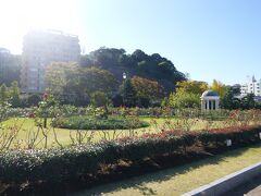 横須賀のヴェルニー公園の中を通りながらJR横須賀駅を目指します。