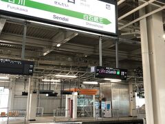 仙台であとから来るはやぶさ・こまち号に乗り換えまちだじぇ