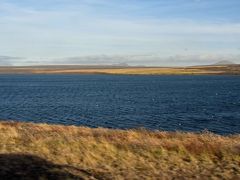 ミーヴァトン湖はアイスランド第4位の湖　　（茨城県の北浦ほど）
野鳥の楽園といわれます。