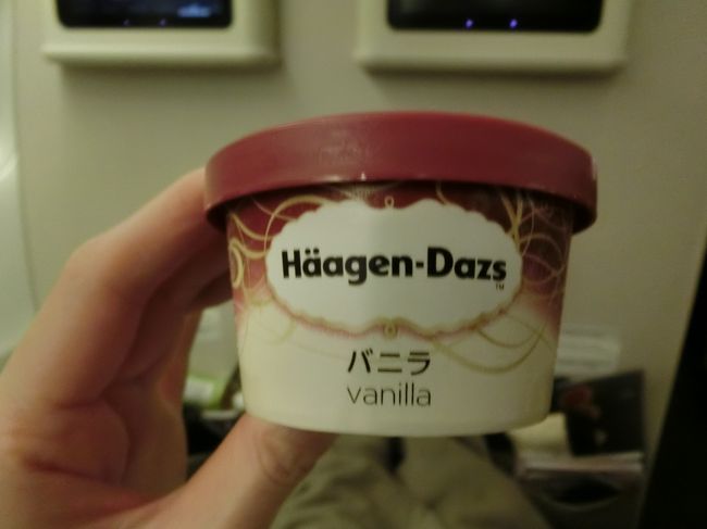 食後はハーゲンダッツ。<br />私はケバブで満腹になっていたので、機内食、アイスともに黒パパへ。<br />黒パパは満腹にならないと眠れないのでいっぱい食べれて良かったかもしれません。