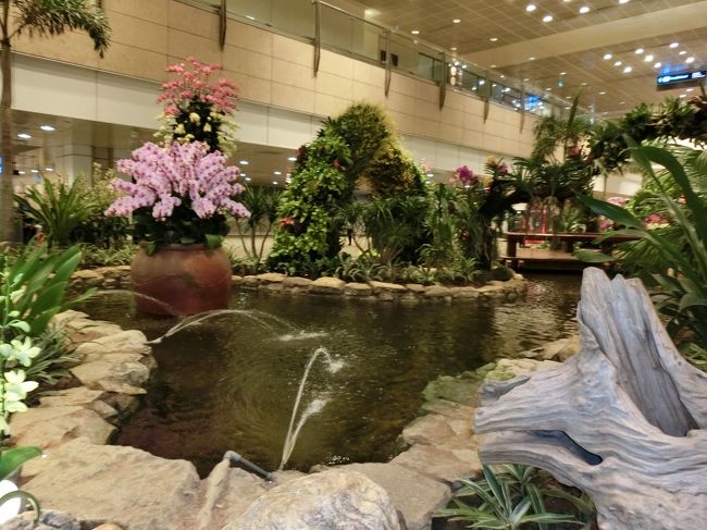 今年はチャンギプログラムの20ドルクーポンはもらうかどうか悩んでいたのですが、オーキッドガーデン前に出たので混み具合を見に行ってみることにしました。