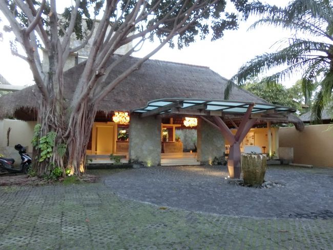 ウブドまでは2時間程かかりました。<br />私は車酔いが激しいので酔い止めを飲んでいたのですが、薬が強かったのか途中から熟睡してしまいました。<br />コマネカアットラササヤンに到着です。