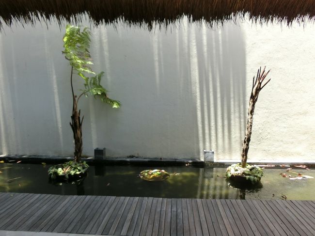 ロビー横には水エリアが＾＾<br />癒されます。