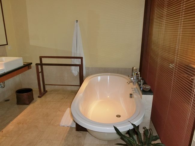 その対面に広すぎるバスタブ。<br /><br />水回りは問題なく、お湯、排水、すべて無問題でした。