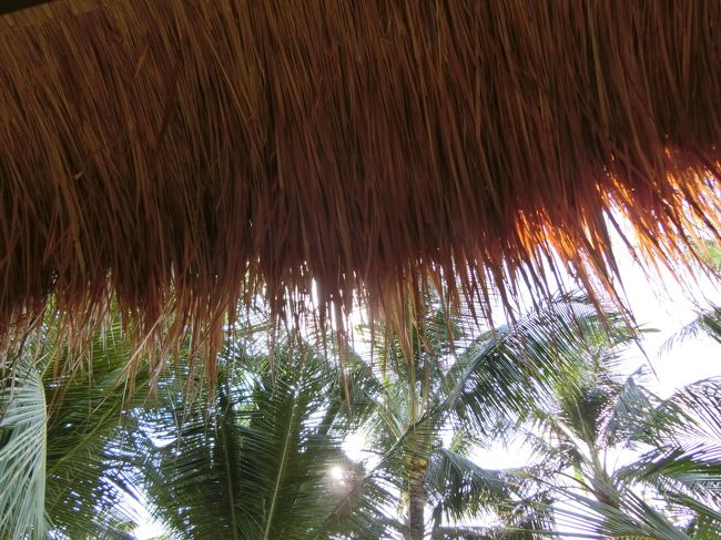 茅葺き屋根。<br />リゾート来たなぁ～とつくづく感じます。<br />さいこ～ｗ