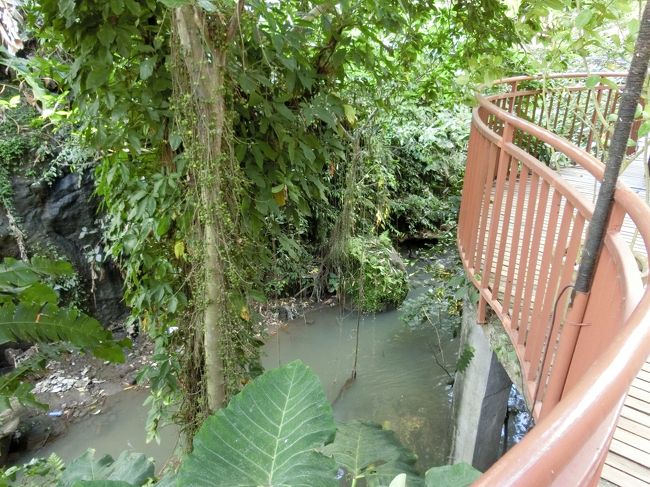 あまり綺麗とは言い難い川が流れています。