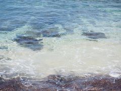 ウミガメのビーチ。
行ったらすでに４～５匹が波打ち際でゆらゆら泳いでました。