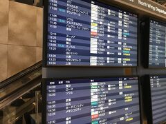 上野駅からスカイライナーで空港へ。空港到着後、ユーロ換金していなかったことを思い出し両替所へ。
半日だけどチェコ領内行くことも考えると、CZKも多少は持っておいた方がいいかなと思ったけど結局ユーロのみ換金。
モスクワまではパリ行きのガルーダ航空との共同運行便のアエロフロート航空に搭乗。

周りに卒業旅行っぽい日本人の学生集団が何組もいて、同年代の自分は1人泣きながら麻雀アプリを開く。