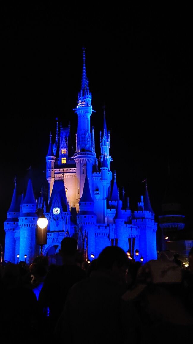 初めてのウォルト ディズニー ワールド Wdw オーランド アメリカ の旅行記 ブログ By Totomomo さん フォートラベル