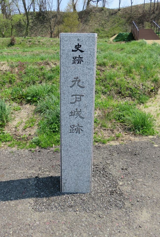 2018春、東北北部の名城巡り(24/28):4月26日(6):九戸城(1):九戸城址碑、水芭蕉、染井吉野