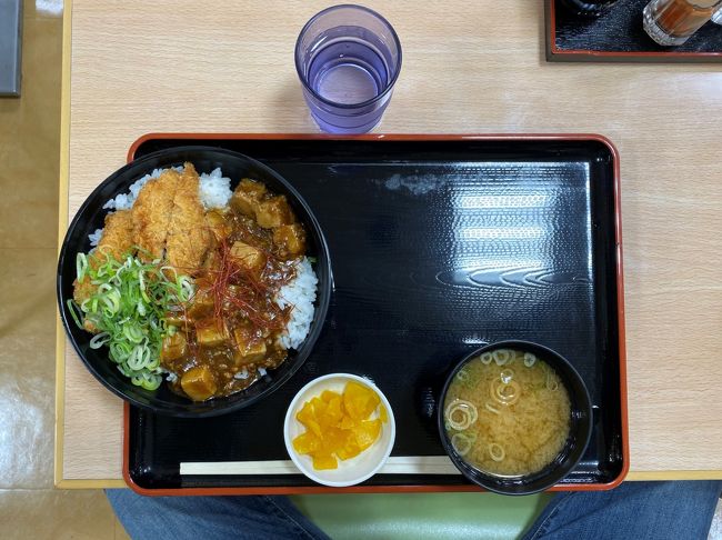 そして〝ピリ辛麻婆ヒレカツ丼〟。