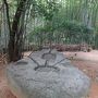 謎多き地の神社を訪れました（が、アブナイ道も通りました（笑））