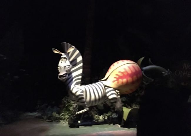 マダガスカルに来てしまった動物達