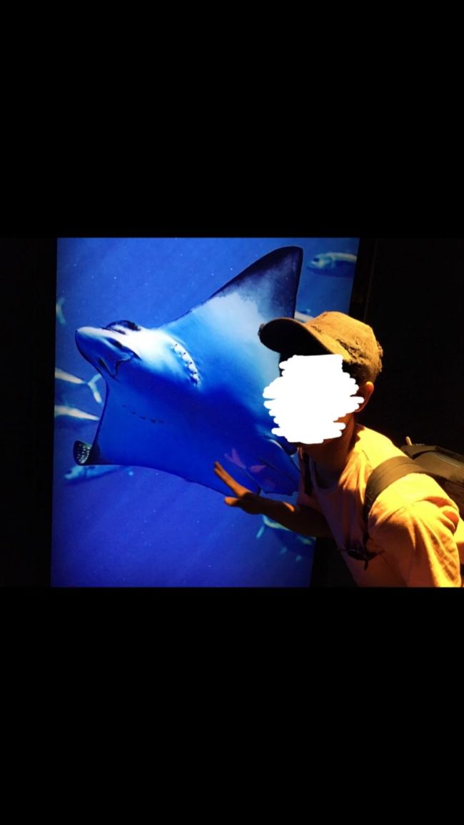 お次は、シーアクアリウム。