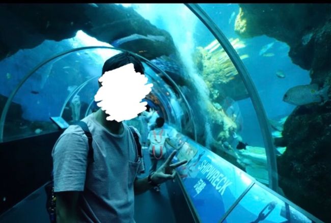 シーアクアリウムラストです。楽しめました。