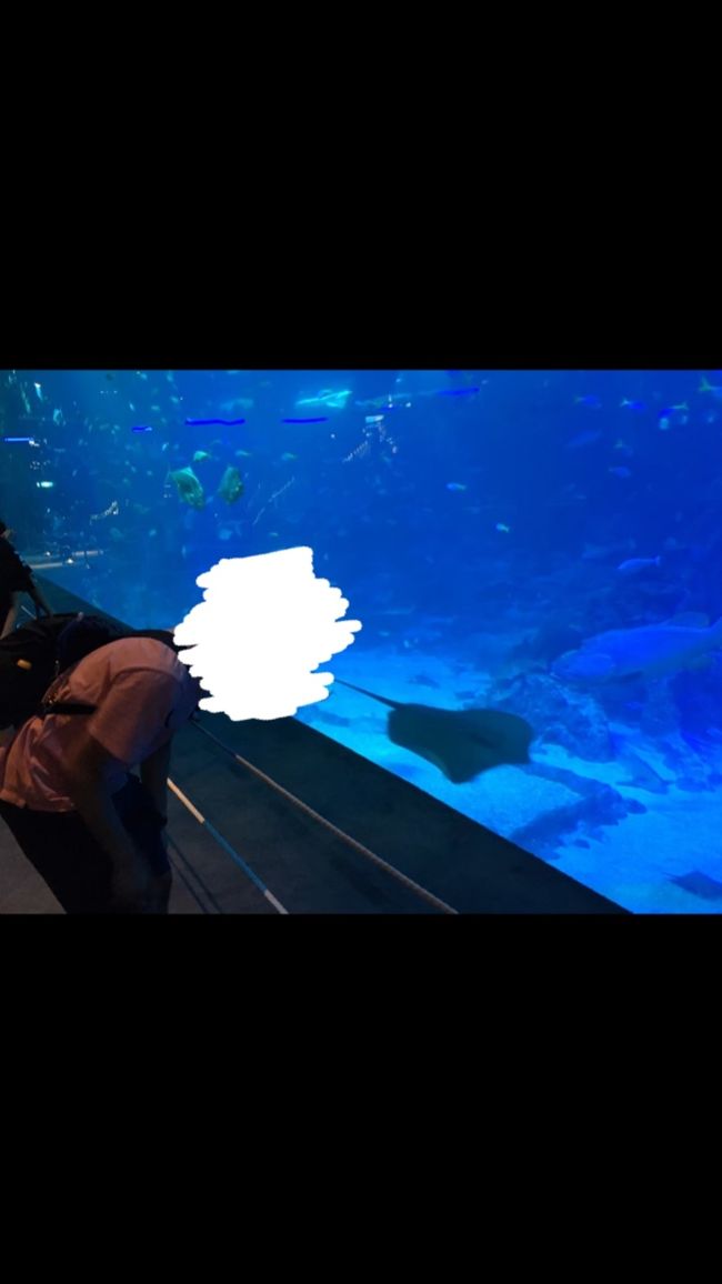 マンタと2ショット