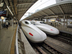 ペリカン２羽

旅のスタートは東京駅。
列島に忍び寄る台風19号はまだ姿はなく。

