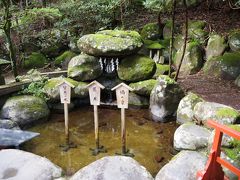 二荒山神社周辺で湧出した二つの聖なる泉の水が引き込まれています。
１つは『薬師の冷水』で眼病と知恵に効果のある水。
もう一つは『酒の泉』で日本酒を作ると非常に味が良くなる水。
さらにこの二荒霊泉の水は若返りの泉として知られているそうです。
二荒霊泉にはそれを表す『酒の泉』『若水』『知恵の水』の木札が立っていました。