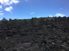 ランチを終え、早速チェーン・オブ・クレーターズ・ロードを走ります。
この道は、キラウエア・カルデラから海方向に向かって伸びる全長30kmのドライブコース。ここもパークレンジャーのおすすめ。（＊ただし、数多く途中下車したりトレッキングしたりしては半日ではおさまりません）
この道沿いにもいくつか小さめのクレーターがあります。

上の写真はドライブ出だしすぐにあるLua Manu Crater (ルアマヌクレーター）の近く。