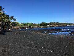 本日最後の目的地。
Punalu'u Black Sand Beach (プナルウ黒砂海岸）に到着。
こちらも約30年ぶりに来ました。
ここは30年前の記憶の中の景色と全く変わっていませんでした。