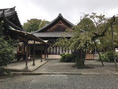 山崎・水無瀬神宮の献茶式に参会