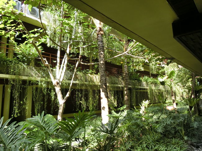 一度起こされるとまた眠りにつくまで凄い時間を要してしまう性格の為、半分仕方なく起床し身支度をして朝食会場へ。<br />でもこの素敵な光景を見ると気分が落ち着きます。<br />些細な事でイライラしてはいけませんね・・・。