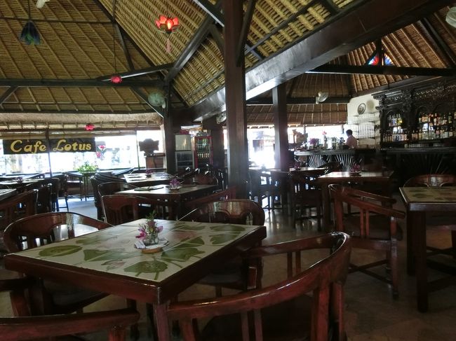 そしてやってきたのはロータスカフェ。<br />多分大抵の方がロータスカフェかスタバに入ると思うのですが、うちは黒パパが大の小説好きでして、小説好きにはたまらないだろうロータスカフェを選んだつもりでしたが、黒パパ「ロータスカフェ？　全然知らない」ですって・・・。