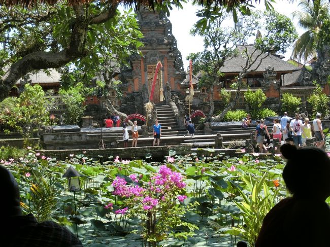 ロータスビュー。<br />気持ちアゲアゲMAXです♪