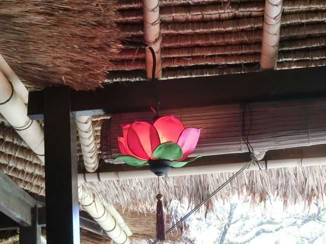 こんなランプも素敵♪<br />ウブド・・・おしゃれだなぁ。