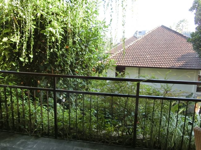 ホテルの部屋に戻ったのは14時過ぎ。<br />16時からのアフタヌーンティーに備えて黒パパはシャワーを浴び、お昼寝を。<br />私もお小遣い帳などをつけながら、胃と腸にかすかな痛みを感じ、ソファに横になりました。<br /><br />16時になり黒パパが起きだしてテレビをつけ、起きろ～的な合図。<br />この時に胃と腸のかすかな痛みが激しい痛みに変わっていて、これはちょっと動けない。<br />18時過ぎにバリ舞踊を見に行くまで布団で横になることに。<br />黒パパも大したことはないだろうと思ってる様子でした。<br />私も寝ていれば治まる！と信じていました・・・。