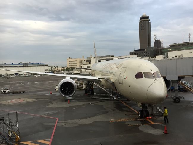 エティハド航空ビジネス エコノミークラスで行く ミラノ アブダビ一人旅 その1ビジネスとエコ乗り比べ でミラノまで ミラノ イタリア の旅行記 ブログ By Tamaemonさん フォートラベル