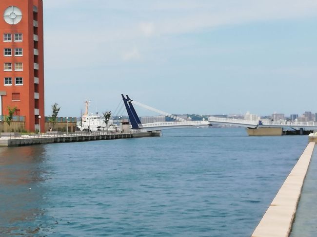 海に出ました。