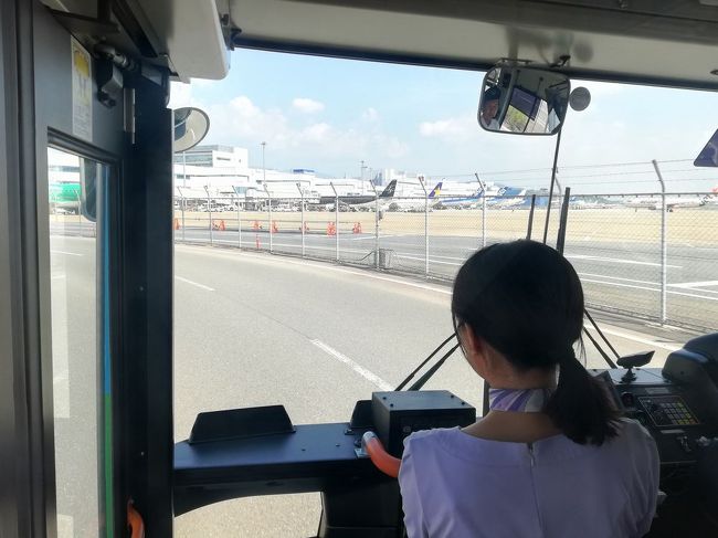 一般車両は通行できない道路を走り、